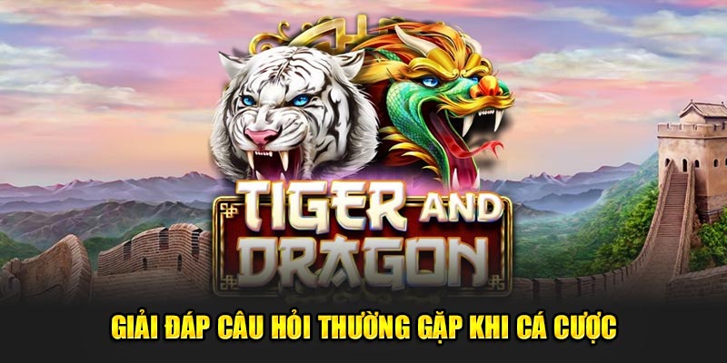 Giải đáp câu hỏi thường gặp 