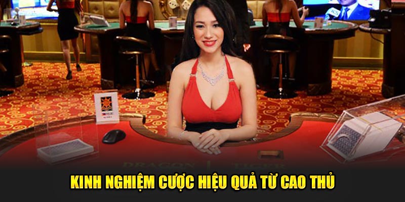 Kinh nghiệm cược từ cao thủ