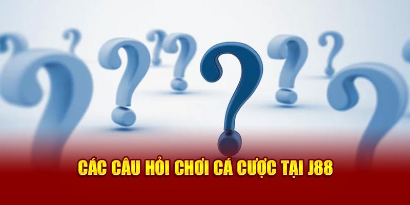 Các câu hỏi tại J88